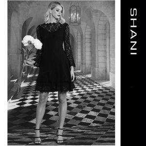 Shani - Long Sleeve Tiered Black Lace Dress